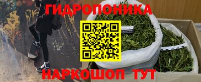 молекула духа Берёзовский