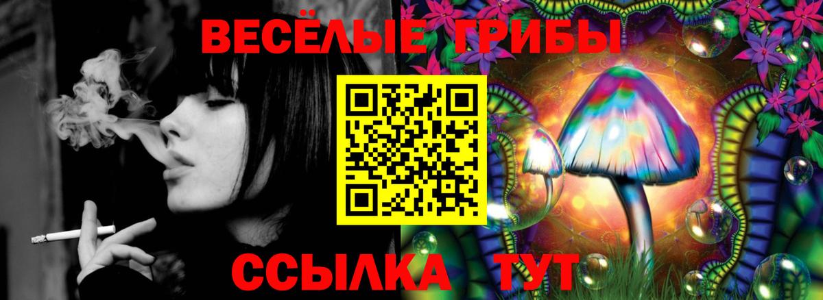 Каспийск  Псилоцибиновые грибы Magic Shrooms  Псилоцибиновые грибы ЛСД  Вход с VPN 