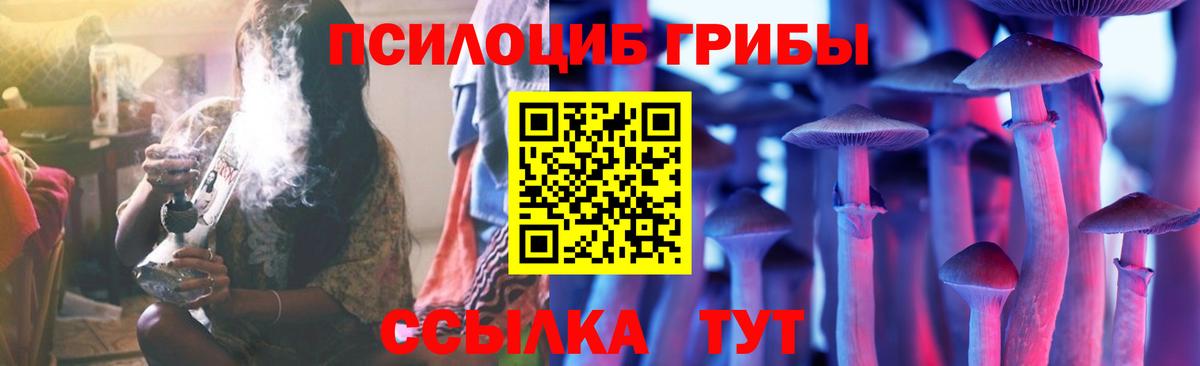 Галлюциногенные грибы мухоморы Каспийск